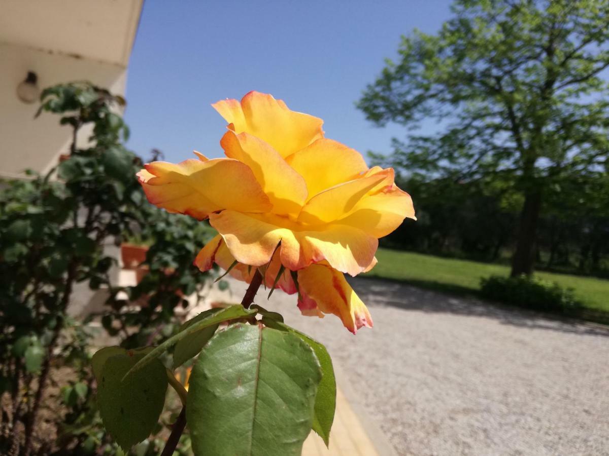 B&B Villa Napoli Battipaglia Exterior photo